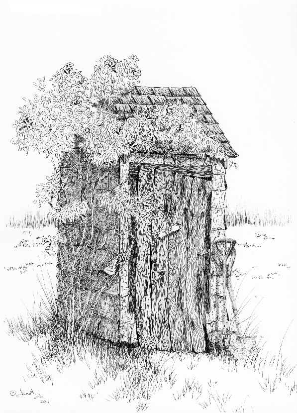 Pen & Ink Drawing: Outhouse